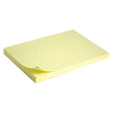Sticky notes Delta D3330-01, lined, 100x150 mm, 100 sheets
