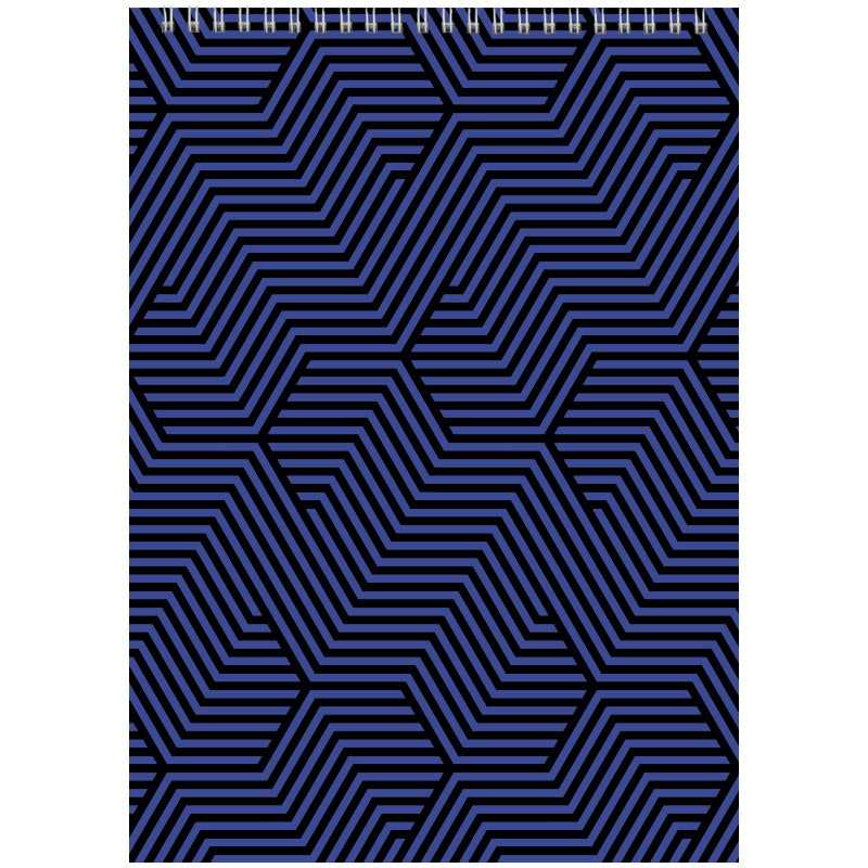 Spiral notebook Axent D8013-06, А4, 48 sheets, squared, blue