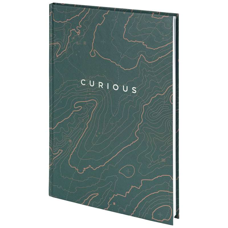 Notes Axent Earth Colors 8422-577-A, А4, 96 kartek, kratka, Curious