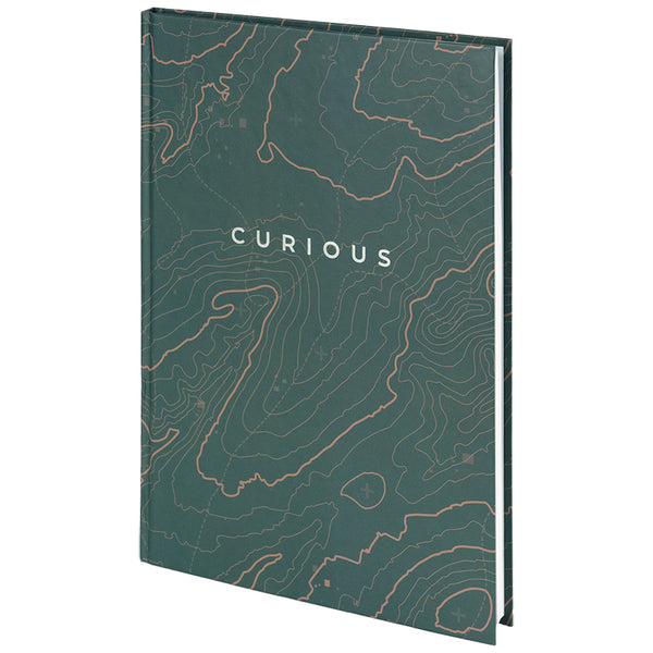 Notes Axent Earth Colors 8422-577-A, А4, 96 kartek, kratka, Curious