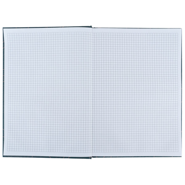 Notes Axent Earth Colors 8422-577-A, А4, 96 kartek, kratka, Curious