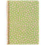 Spiral notebook Axent 8462-1-A, А5, 80 sheets, squared, plastic cover, light green