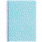 Spiral notebook Axent 8462-2-A, А5, 80 sheets, squared, plastic cover, light blue