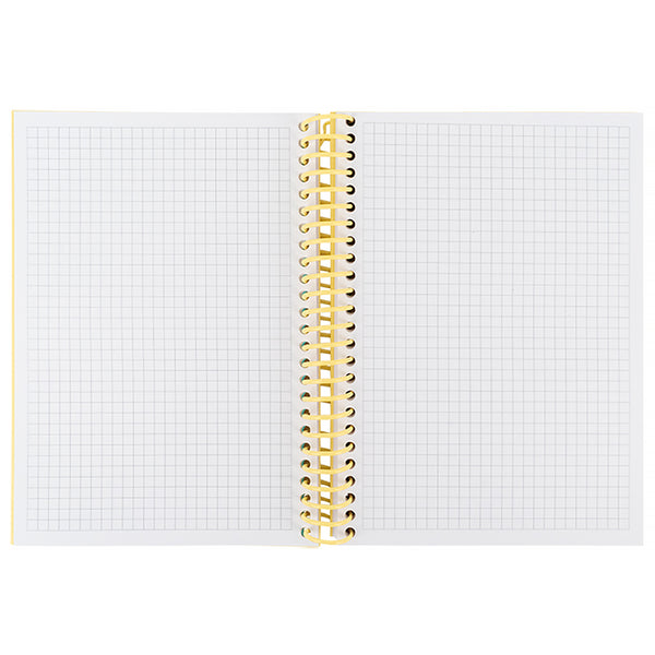 Spiral notebook Axent Dreams 8464-4-A, А5, 120 sheets, squared, hard cover