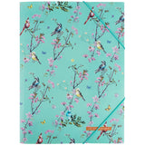 Folder with elastic bands Axent Olga Selyshcheva, Spring 1509-33-A, А4+