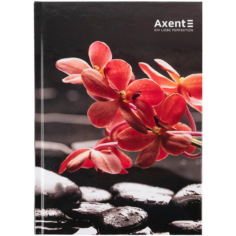 Notebook Axent R&B Flower 8457-7-A, А5, 96 sheets, squared, hard cover